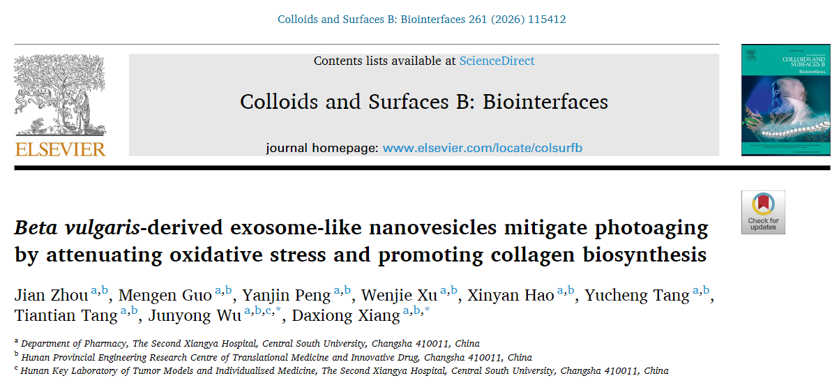 抗光老化新突破：Beta vulgaris纳米囊泡展现强大潜力