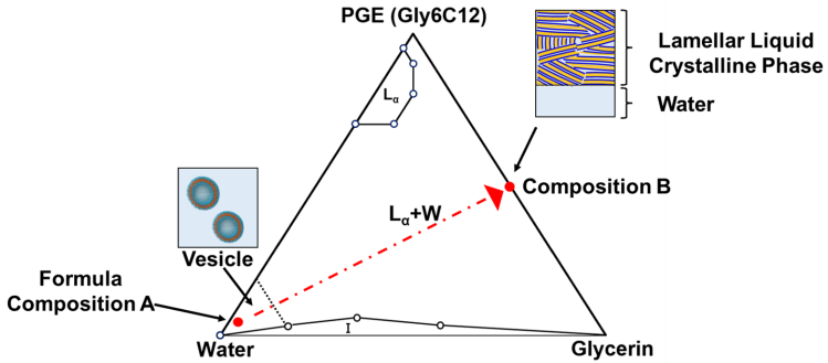 8倍吸收突破！资生堂“仿细胞膜”技术革新护肤效率