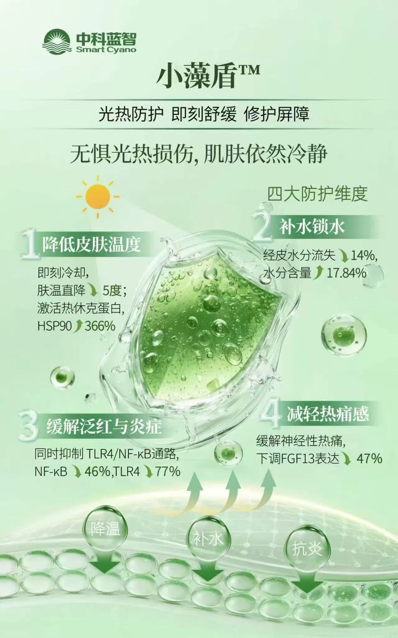 爱茉莉太平洋为什么选小球藻做 PDRN？微藻原料时代正式开启