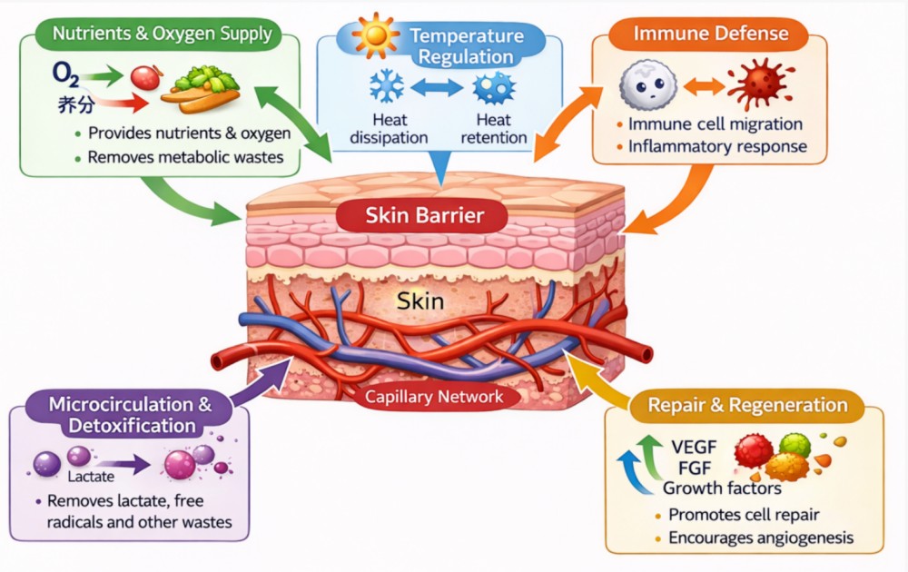巨微首发｜Hydro-OK 肌愈，微循环修护新势力