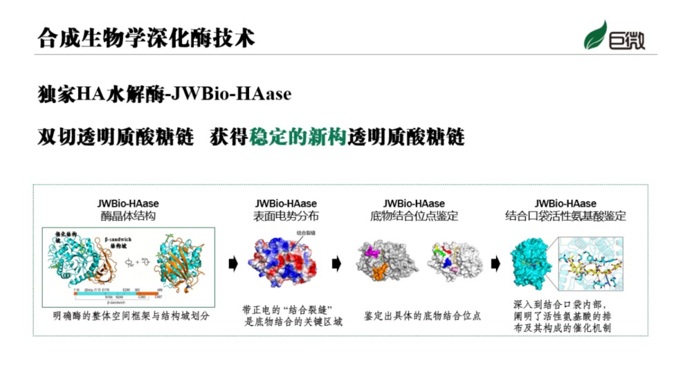 巨微首发｜Hydro-OK 肌愈，微循环修护新势力