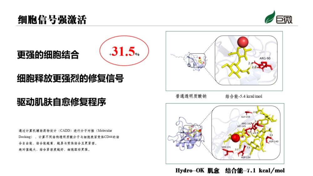 巨微首发｜Hydro-OK 肌愈，微循环修护新势力