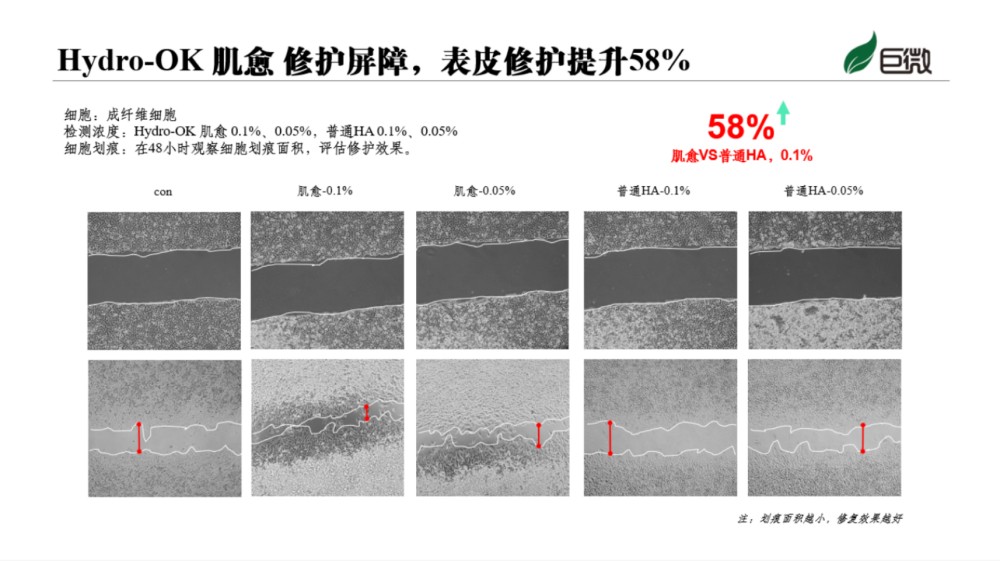 巨微首发｜Hydro-OK 肌愈，微循环修护新势力