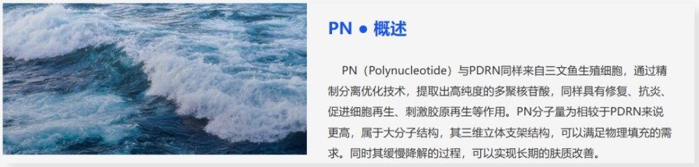 瑞吉明生物：融资 1700 万元！深耕再生医学原料