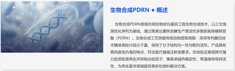 瑞吉明生物：融资 1700 万元！深耕再生医学原料
