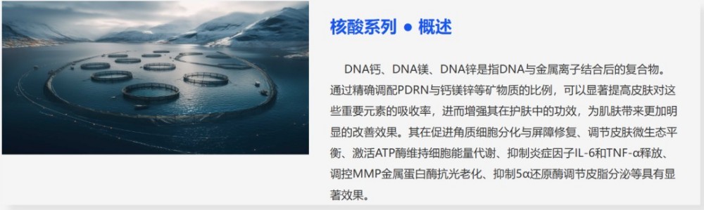 瑞吉明生物：融资 1700 万元！深耕再生医学原料