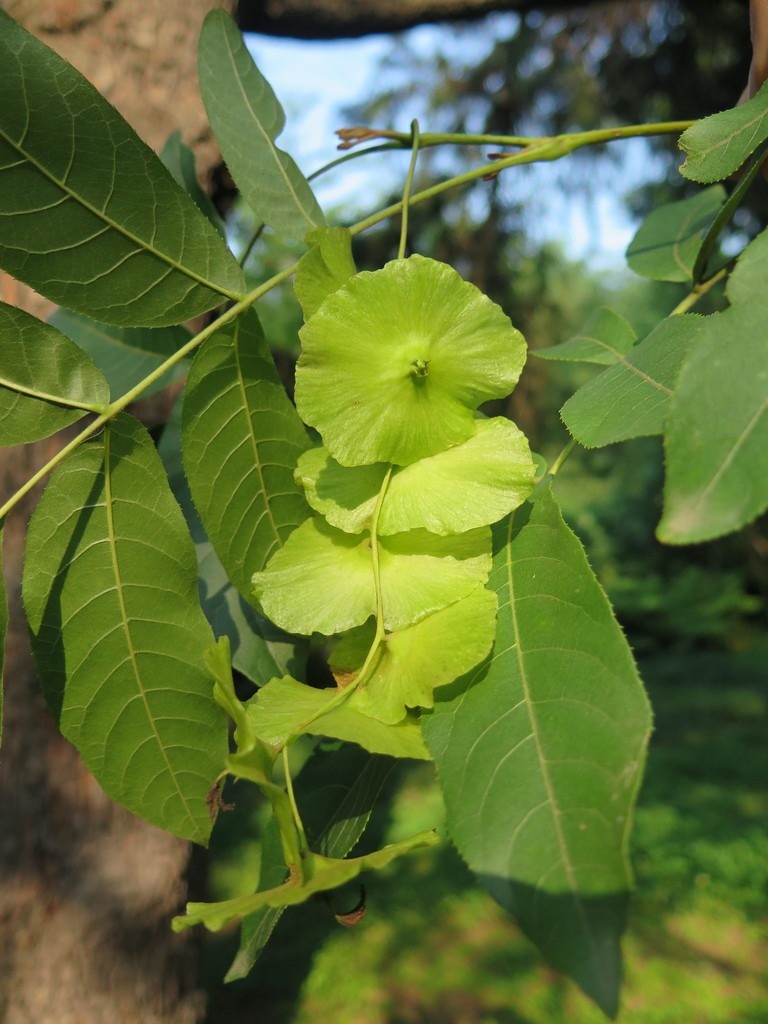 再添化妆品新原料，韩国企业也来了