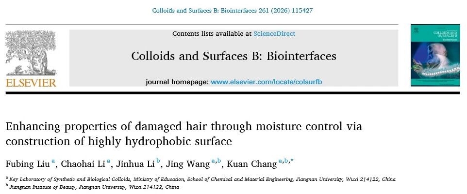 重构发丝战力！江南大学开创受损发修护新路径