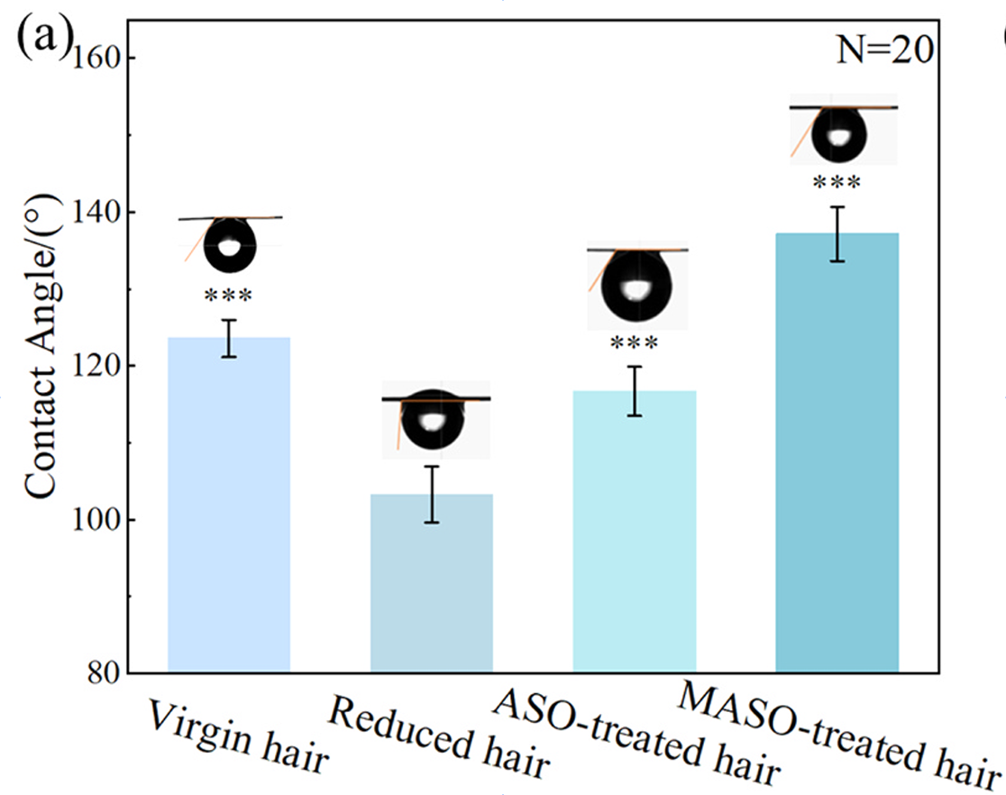 重构发丝战力！江南大学开创受损发修护新路径
