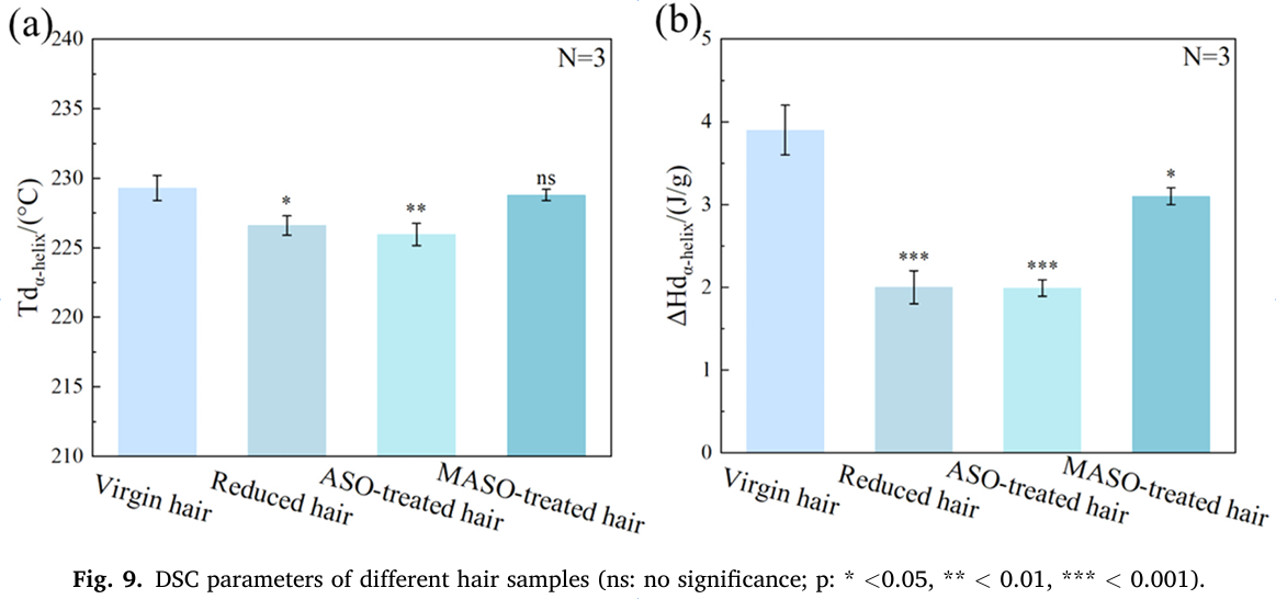 重构发丝战力！江南大学开创受损发修护新路径
