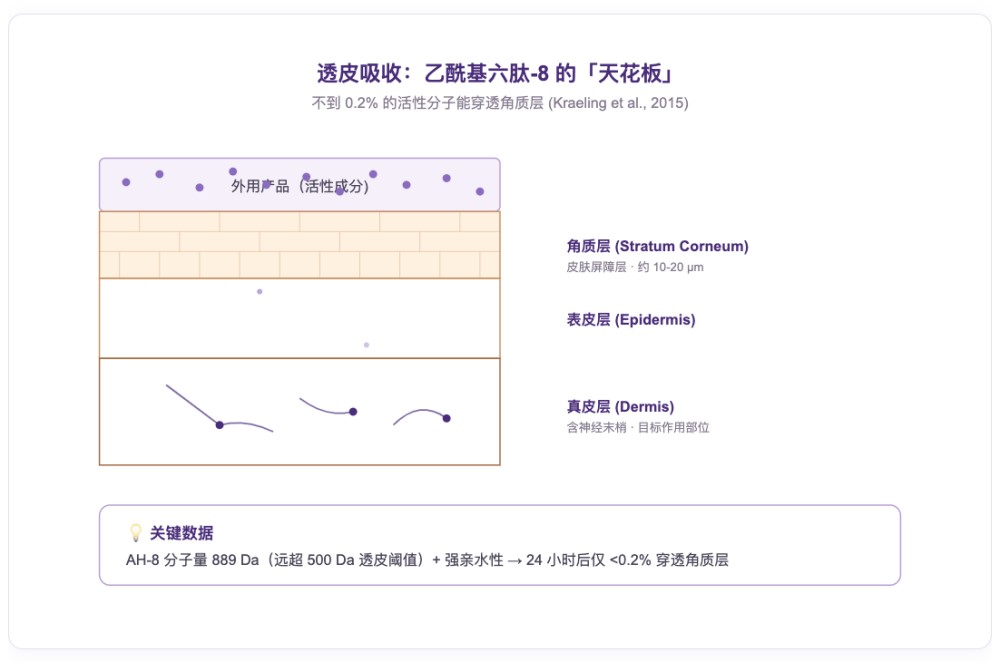 乙酰基六肽-8（阿基瑞林）：被吹爆的 “涂抹式肉毒”，科学真相到底是什么