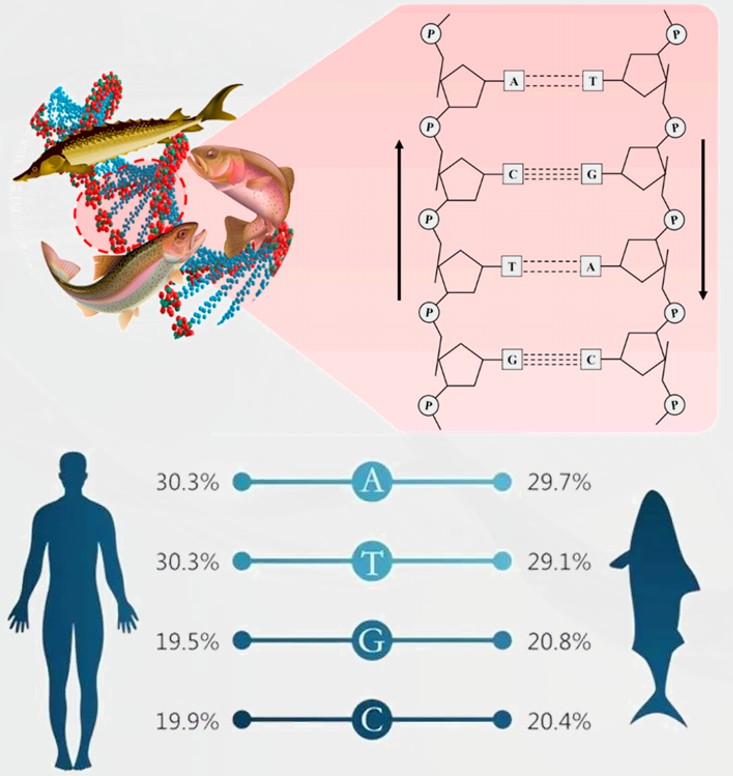 Ginsome PDRN参质体，破解涂抹式PDRN三大痛点