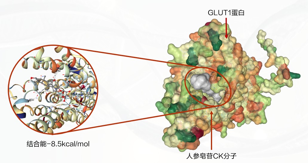 Ginsome PDRN参质体，破解涂抹式PDRN三大痛点