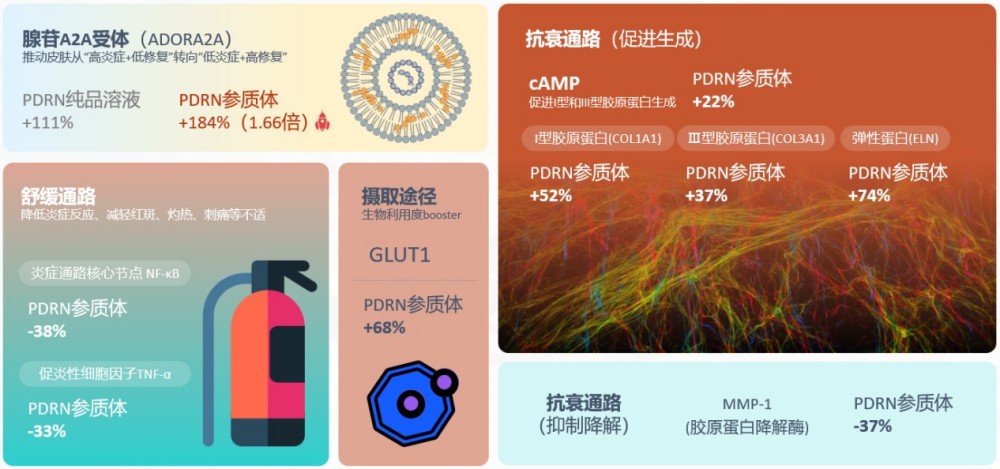 Ginsome PDRN参质体，破解涂抹式PDRN三大痛点