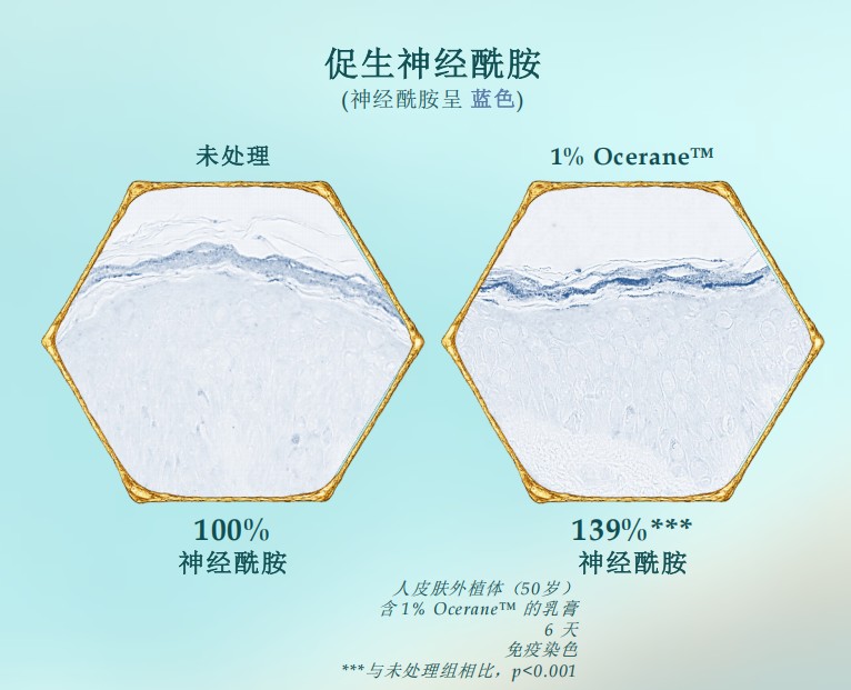 海洋新成分 Ocerane™重塑皮肤屏障