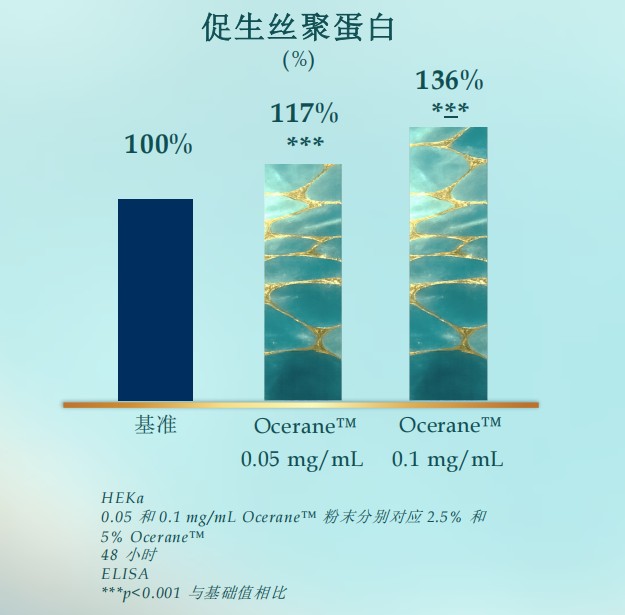 海洋新成分 Ocerane™重塑皮肤屏障