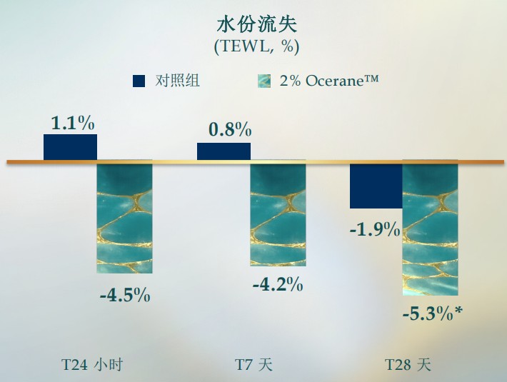海洋新成分 Ocerane™重塑皮肤屏障