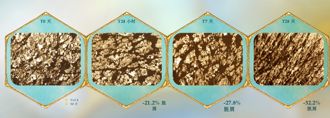 海洋新成分 Ocerane™重塑皮肤屏障