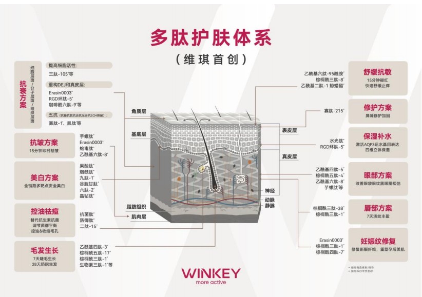 化妆品原料企业维琪科技冲击IPO
