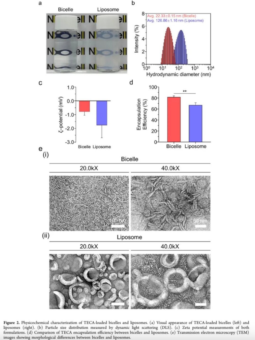 爱茉莉 ×Nbiocell：新一代双胶束递送，积雪草透皮效率大升级