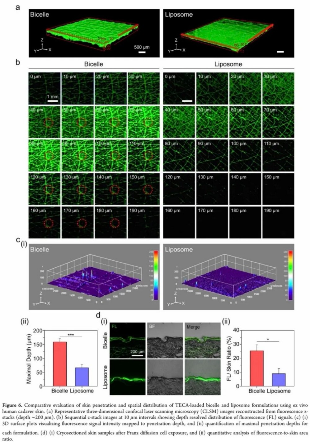 爱茉莉 ×Nbiocell：新一代双胶束递送，积雪草透皮效率大升级