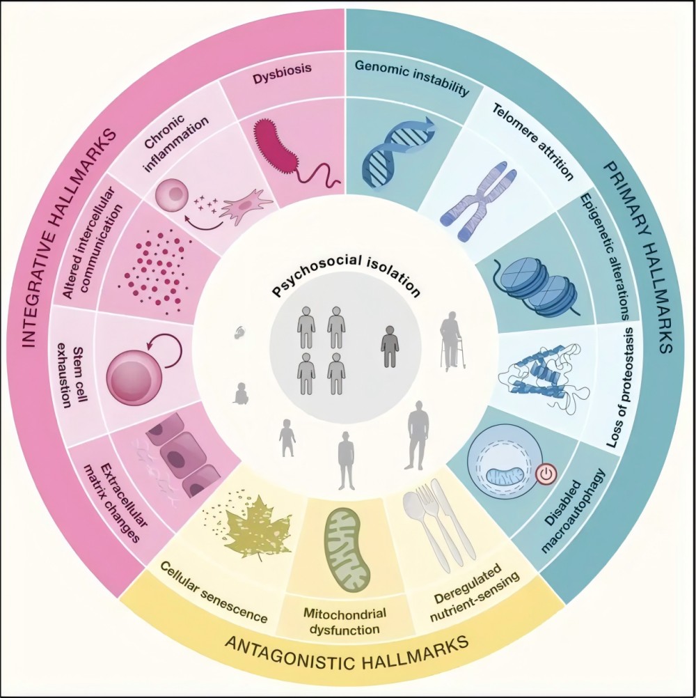 ECM风暴：会成护肤界下一个风口吗？