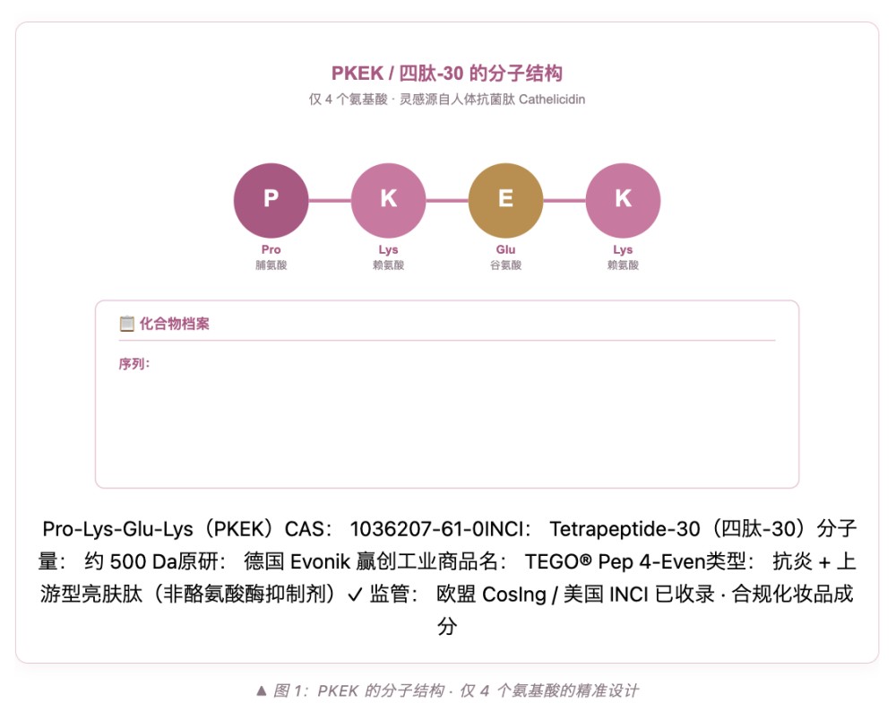 四肽 - 30（PKEK）：从 4 个氨基酸看懂美白上游革命