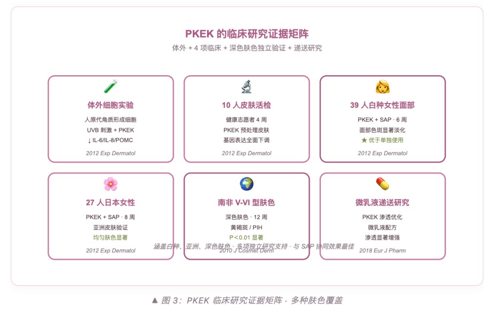 四肽 - 30（PKEK）：从 4 个氨基酸看懂美白上游革命