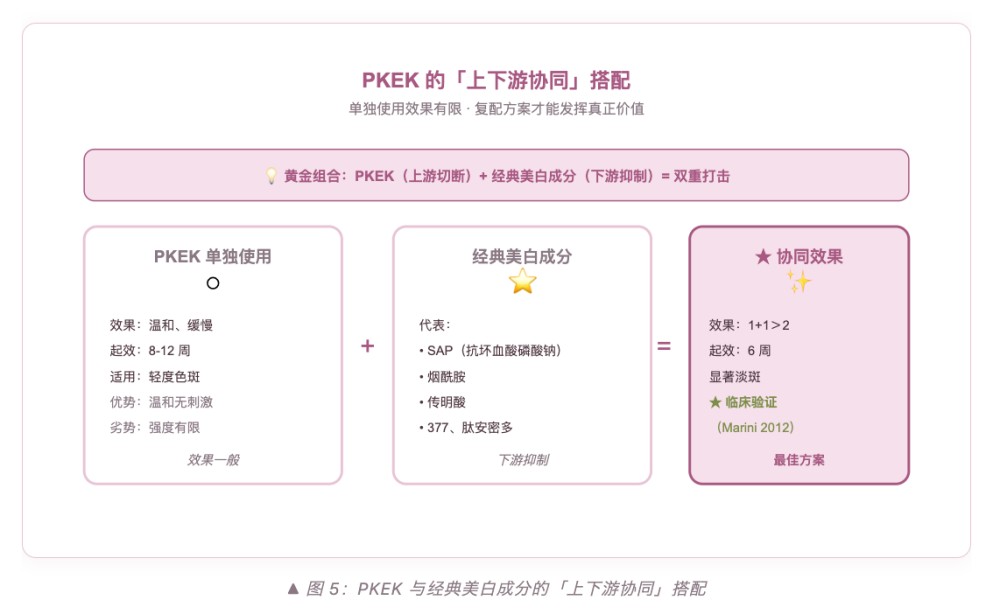四肽 - 30（PKEK）：从 4 个氨基酸看懂美白上游革命