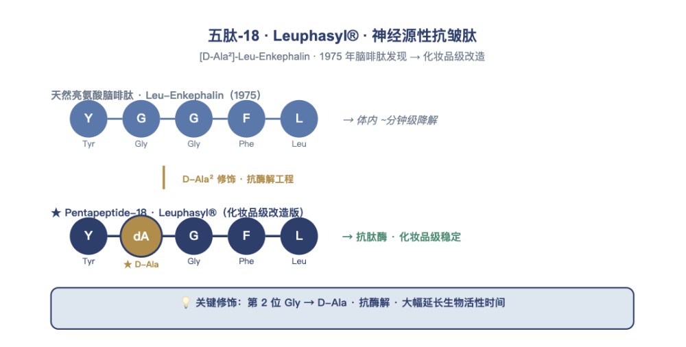 五肽 - 18 到底是什么？一篇看懂类肉毒素肽的抗皱原理