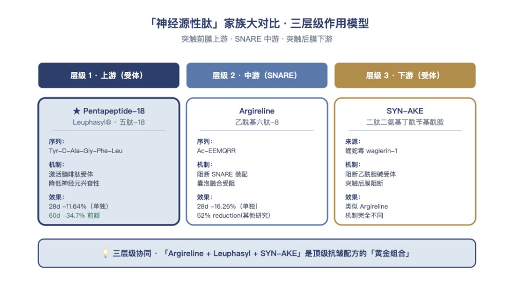 五肽 - 18 到底是什么？一篇看懂类肉毒素肽的抗皱原理
