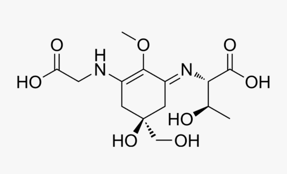 PPR-334 抗氧化与促胶原分子机制