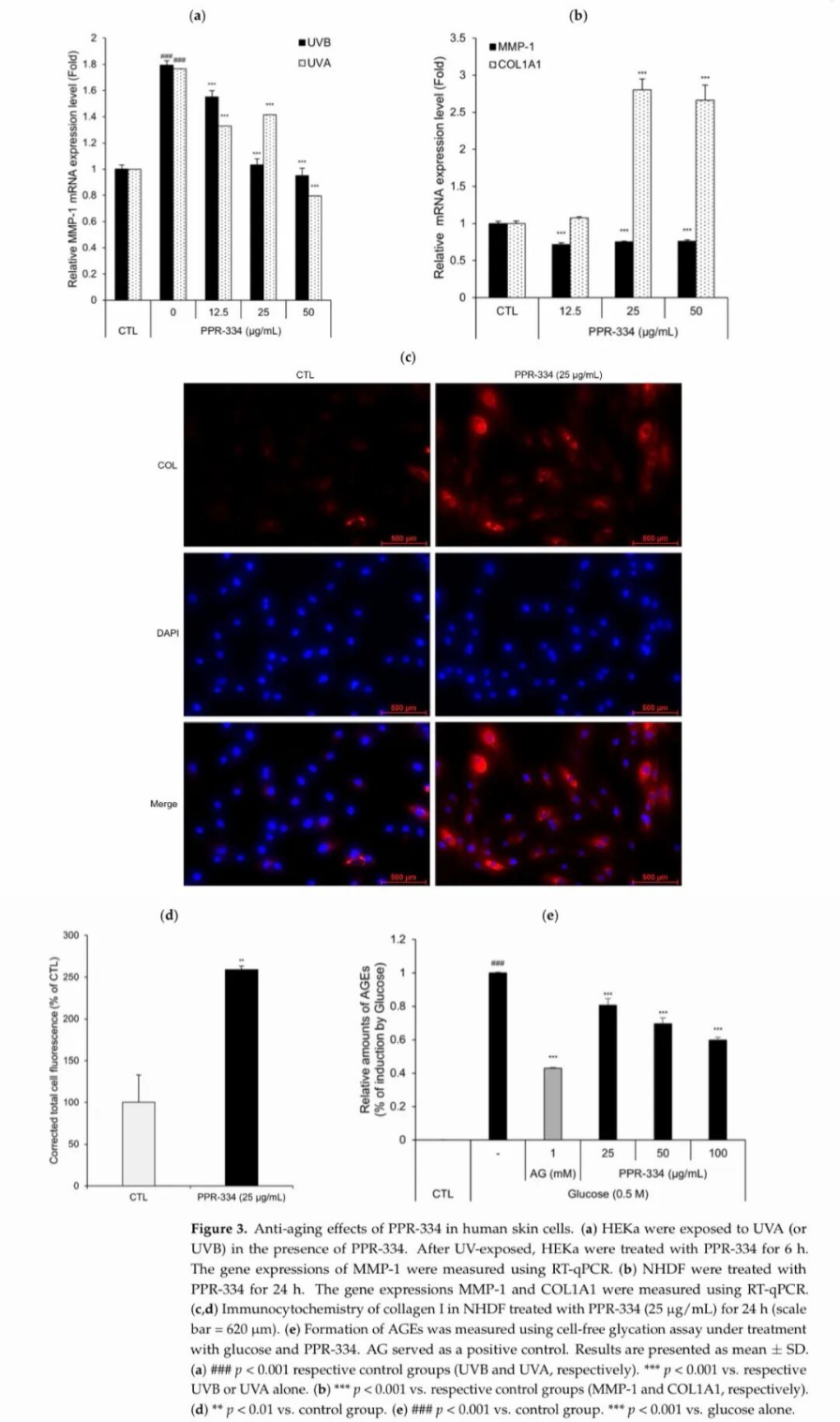 PPR-334 抗氧化与促胶原分子机制