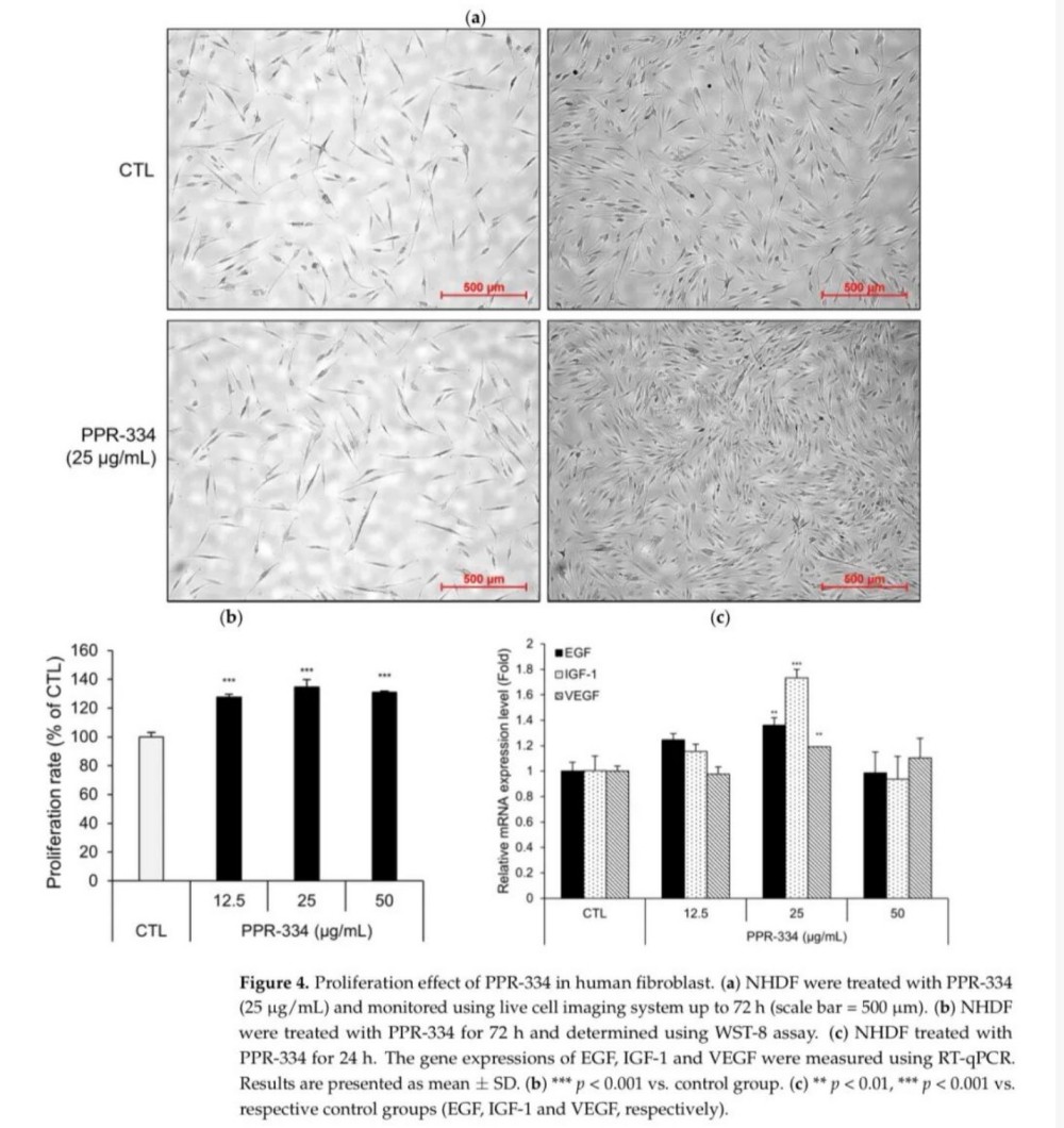 PPR-334 抗氧化与促胶原分子机制