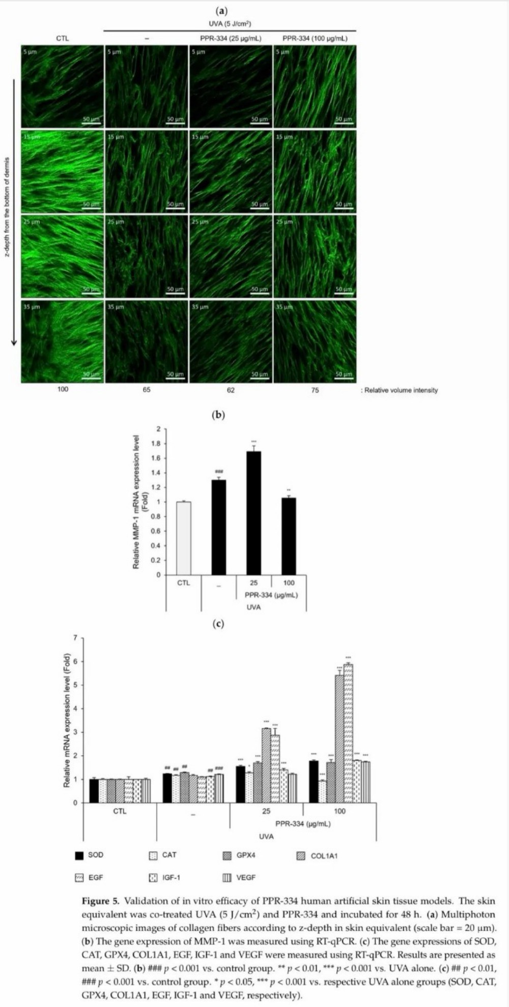 PPR-334 抗氧化与促胶原分子机制