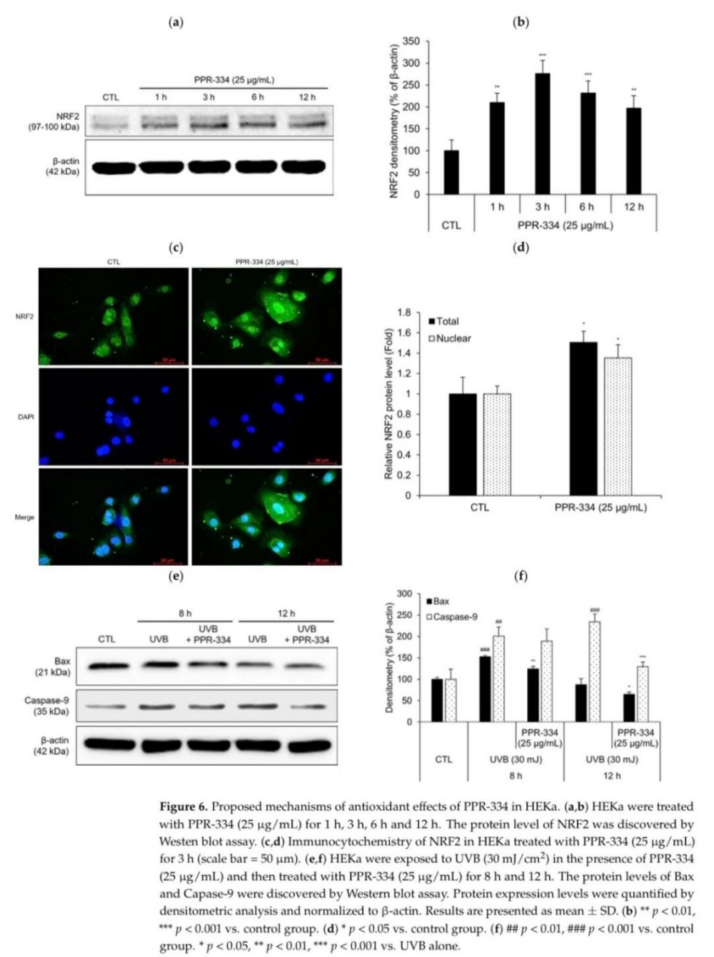 PPR-334 抗氧化与促胶原分子机制