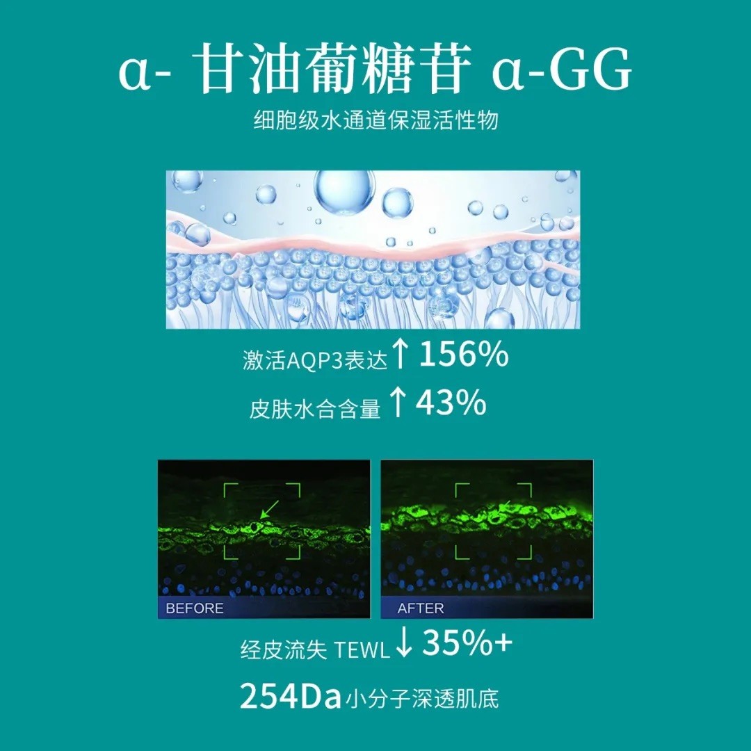 广州首款新原料来袭：它会是下一个依克多因吗？