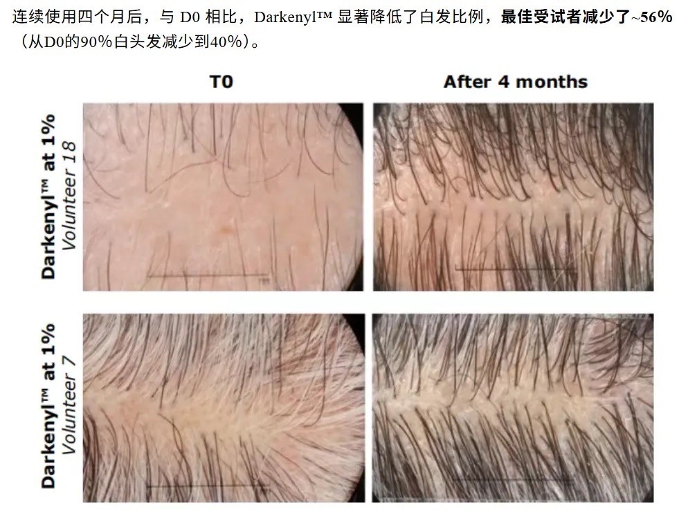 香精巨头奇华顿，用科学与创意缔造的香氛与风味王国