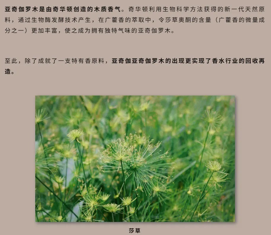 香精巨头奇华顿，用科学与创意缔造的香氛与风味王国