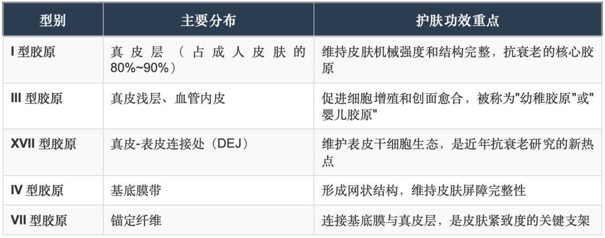 什么是重组胶原蛋白