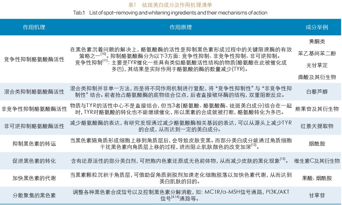 祛斑美白背后的科学逻辑与全球合规框架