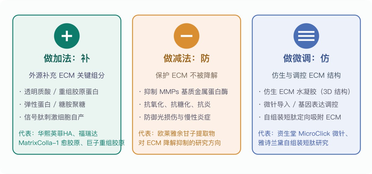 什么是ECM