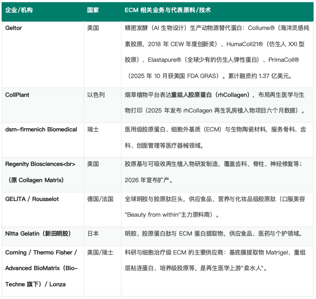 什么是ECM